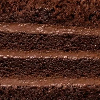 Real cake layers: Chocolate Cake
